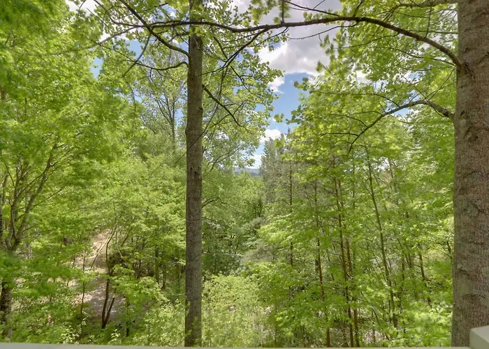 Blue Ridge Getaway With Hot Tub And Seasonal View!