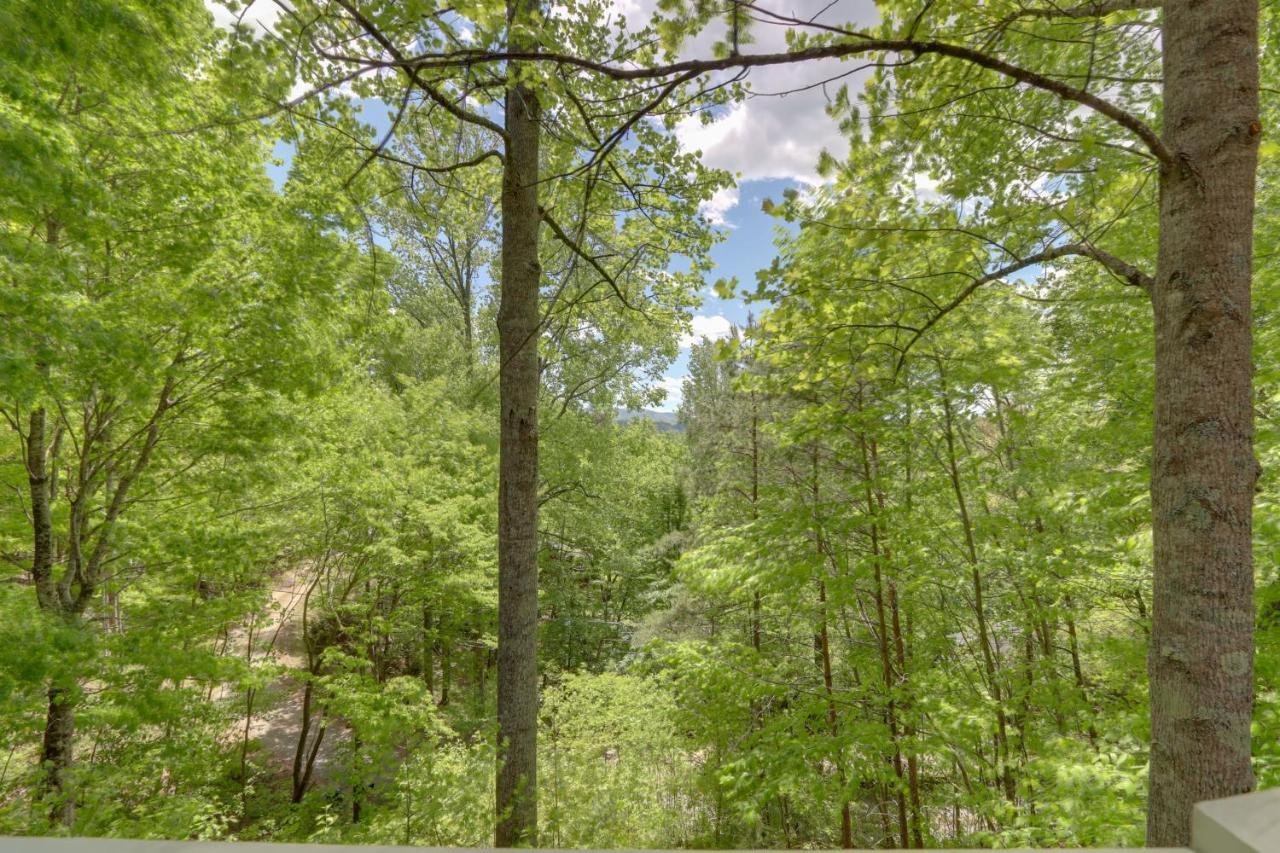Getaway With Hot Tub And Seasonal View! Holiday home Blue Ridge